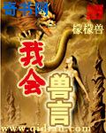 桂宝大电影