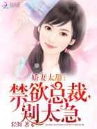 bt合集