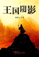 超薄无内肉丝