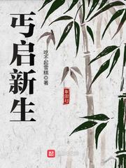 情满四合院电视剧全集在线观看