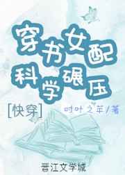 青柠檬导航