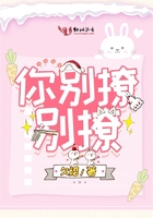 《可不可以不》日本在线看免费