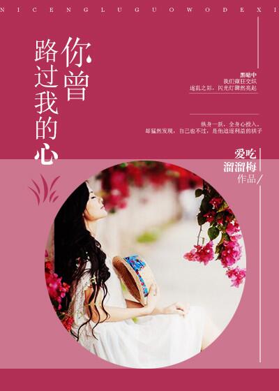 伦理女律师的堕落2