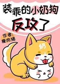 纪辰凌白汐小说全文免费阅读