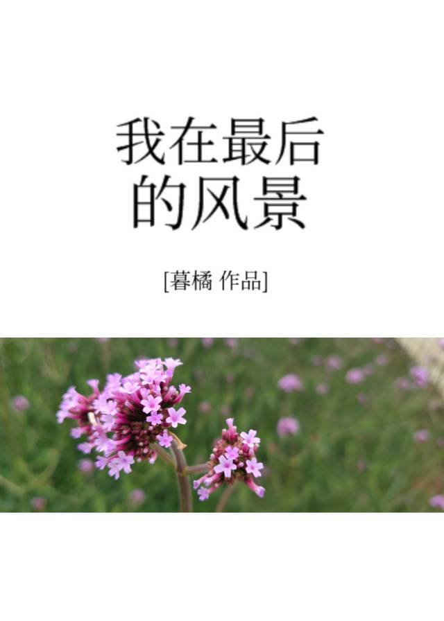 管家婆2024全年免费资料