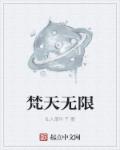 皮微网
