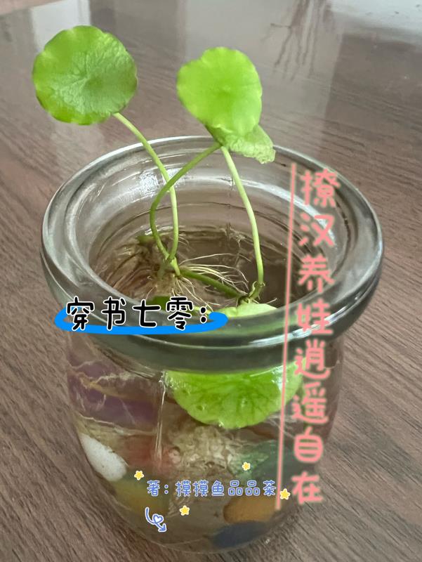 家奴的饲养6调教室阅读