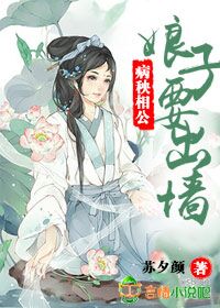 风之谷国语