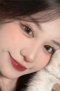 免费的黄网