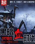 云巅之上第一季