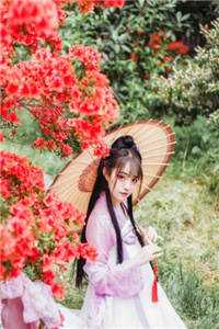 新上门女婿结局