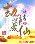 包青天电视剧83版全集免费观看