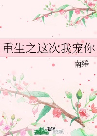 v拍摄指南 txt百度网盘