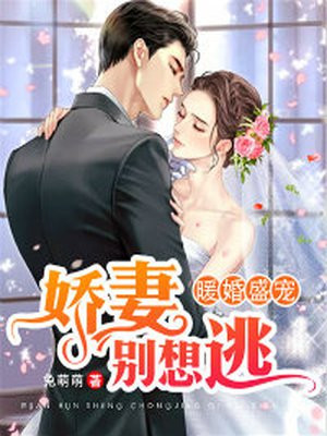 最佳女婿林羽江颜最快