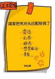 4080手机大全