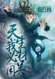 521a成v视频网站在线入口