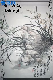 天美传媒MV免费观看软件特色