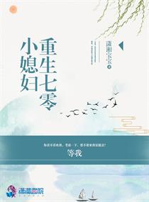 乱世枭雄评书485回