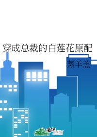 韩赛尔与格蕾特