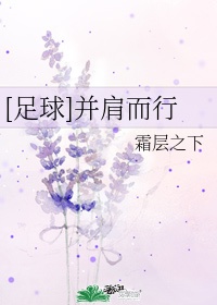 4080新视觉ed2k