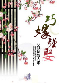 青柠檬导航