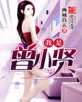 南安太妃传
