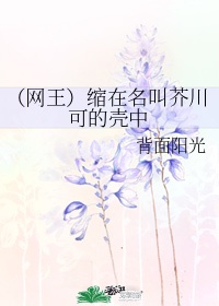 噼里啪啦的意思