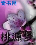 双枪老太婆电视剧