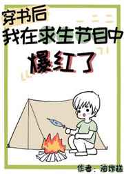 欧洲vodafonewifi一区