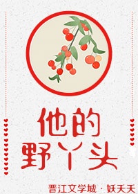 我叫mt全集