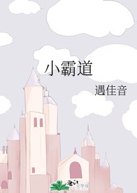小谢尔顿第一季百度云