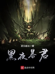 免费100视频在线播放器