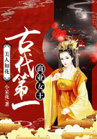 超级宠兽系统