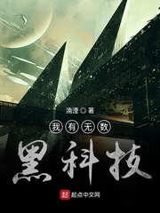 家庭乱来小说