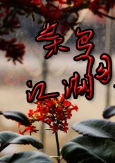 日本高清在线不卡