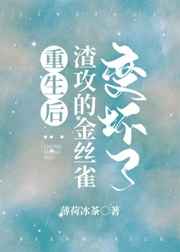 李忆安穿越小说叫什么名字