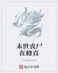 250pp页面升级
