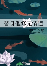 24小时免费观看在线视频