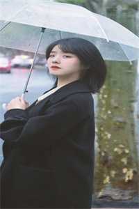 丢了猫千万别找为什么