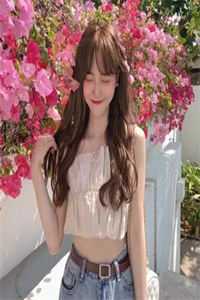 外室白莲手册