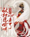 岛国爱情片