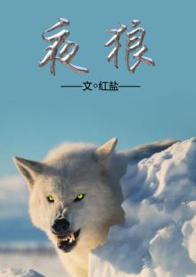 变形金刚6正片免费观看