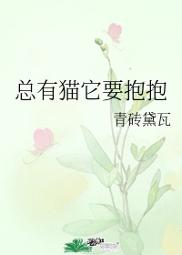 纵横千里之铁凤凰