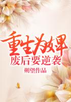 国产午睡沙发系列