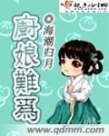 汉化エロマンガ同人志