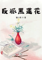 方舟指令