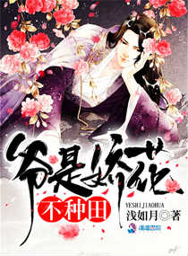 落花限制分级