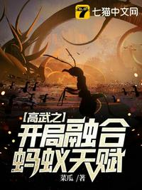 国企美妇征途