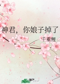 探索者的羽翼未删减版