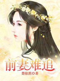 洪欣老公